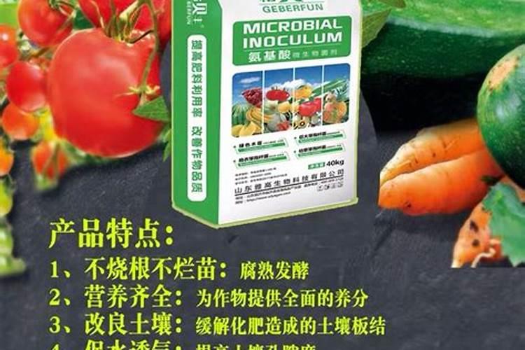 生菜肥料施用的技巧