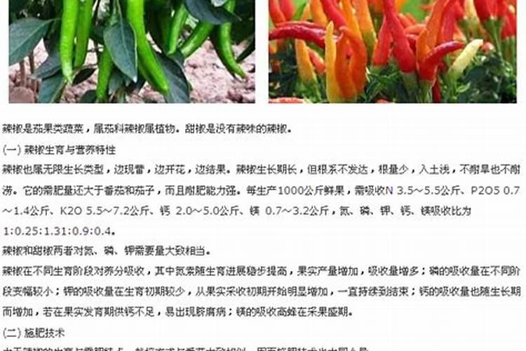 加大宝水溶肥辣椒专用是真的吗