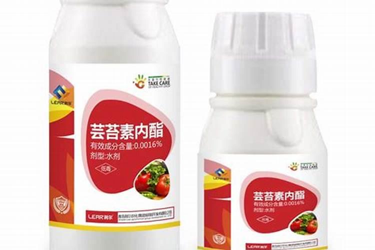 什么植物调节剂可以促进叶片生长