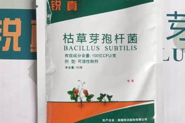 农用枯草芽孢杆菌治什么病