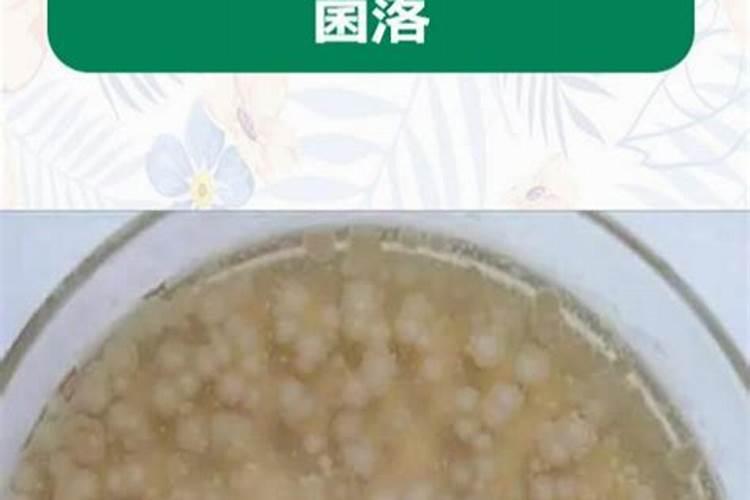 枯草芽孢杆菌是怎样起到抗菌作用的？