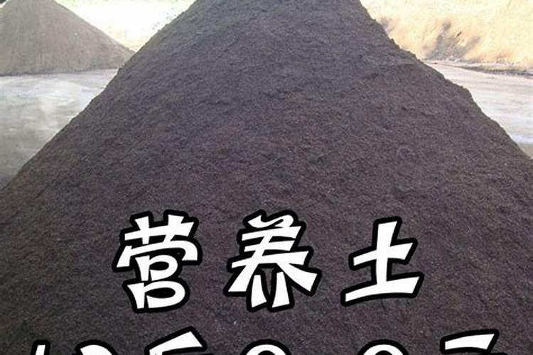 买回来的营养土怎么用