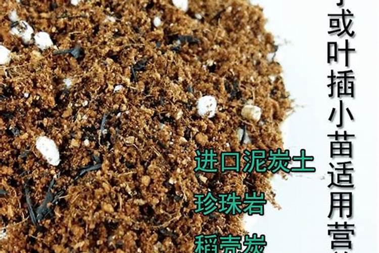 蚯蚓营养土可以直接种花吗