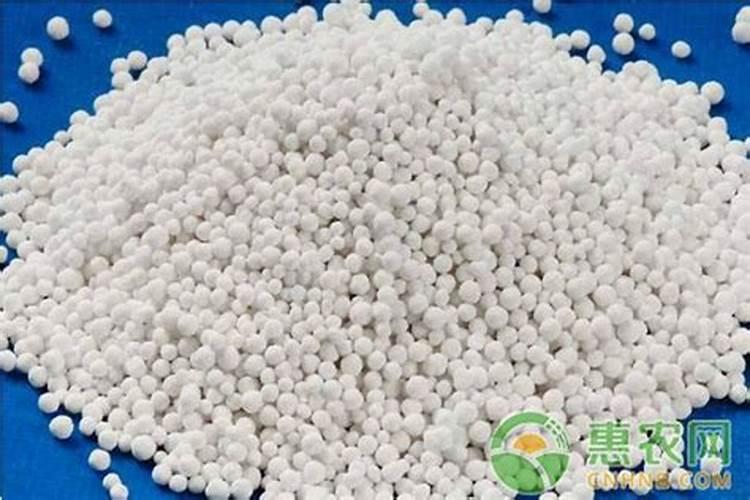 硼肥在什么时候喷施好