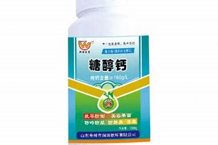 龙井茶树开花吗 开花什么样子