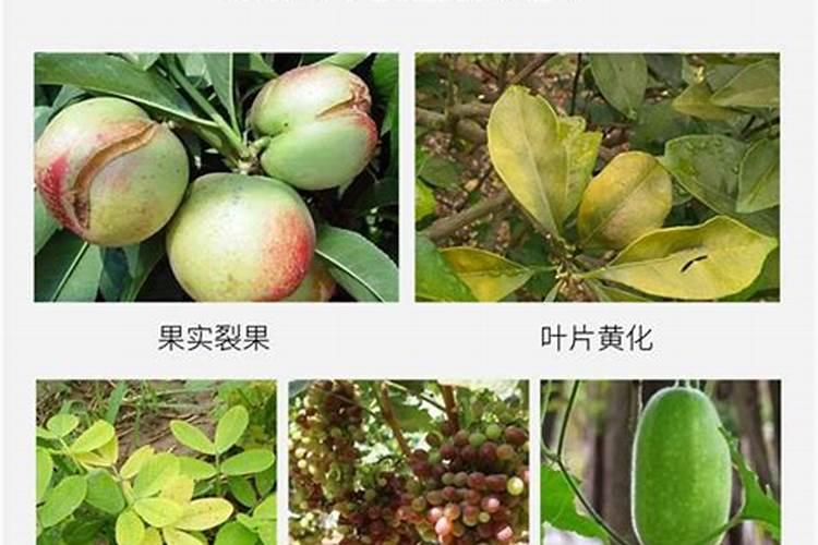 锌肥使用方法