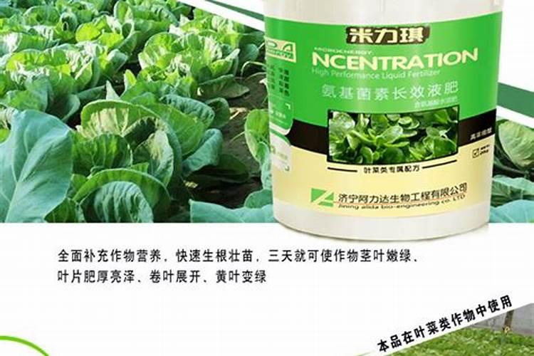 越冬大棚番茄栽培底肥用啥肥比较好？