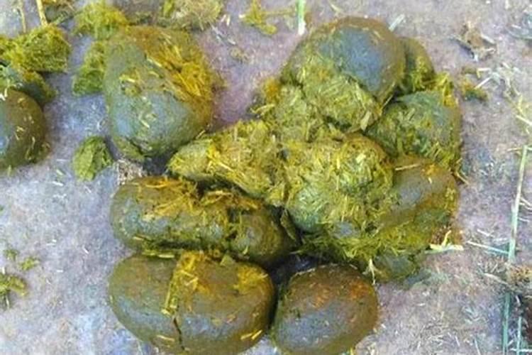 卢大哥豆粕肥是杂牌吗
