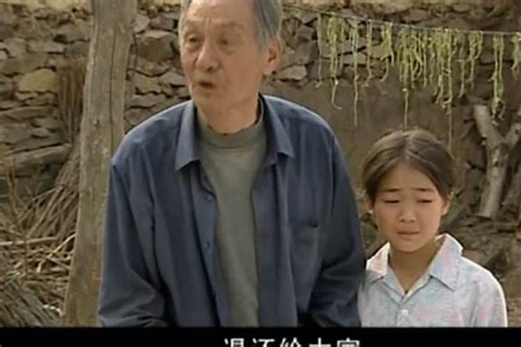 日照市五谷丰登生物科技有限公司怎么样？
