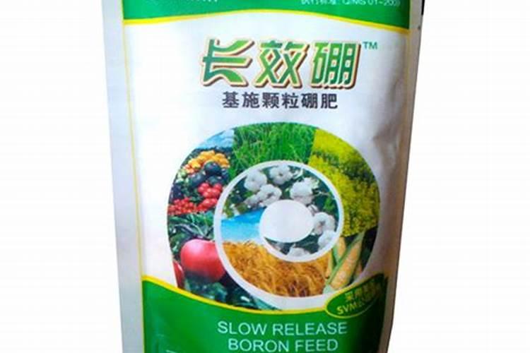 有什么肥料可以养花呢