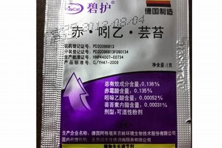 怎样采摘木耳菜,木耳菜的采摘方法
