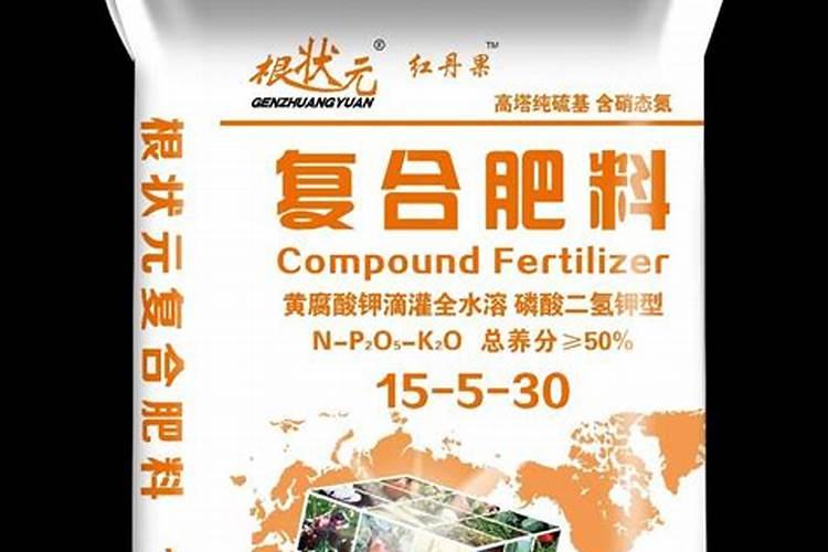 蓝莓怎么养殖一年开花就结果