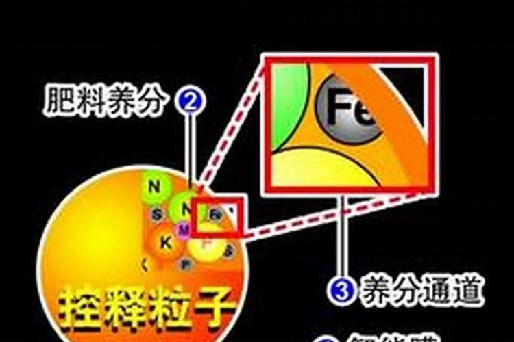 生根最快的肥料