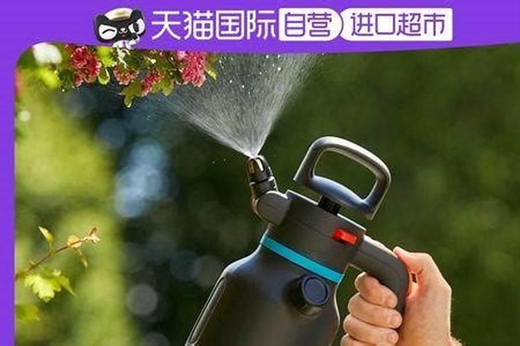 怎么给自己种的花草除虫