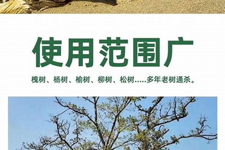 中量元素水溶肥料是农药吗