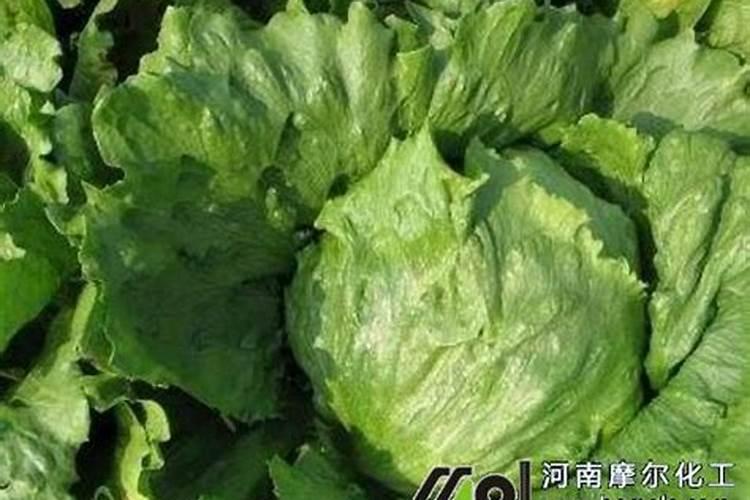 水溶肥是什么肥料