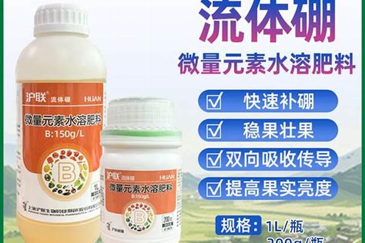 硼在种黄瓜时怎样使用？