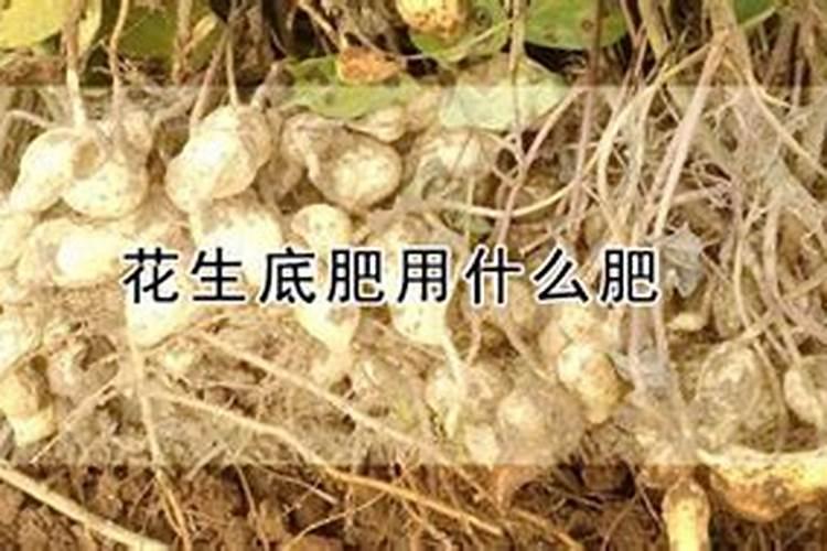 什么是大豆专用肥？