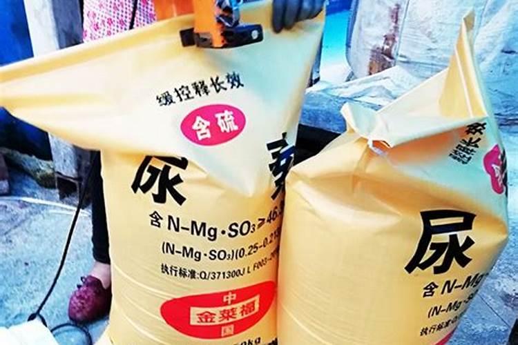 种大葱用什么肥料好