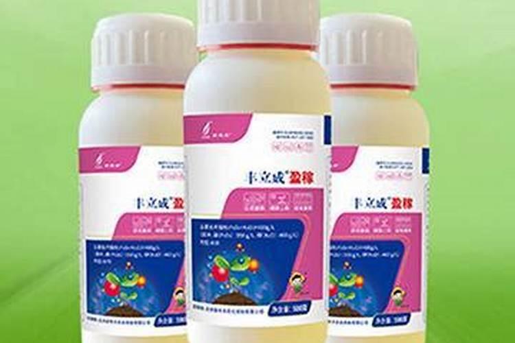 红钻盆花用什么肥料、尿素可以吗、