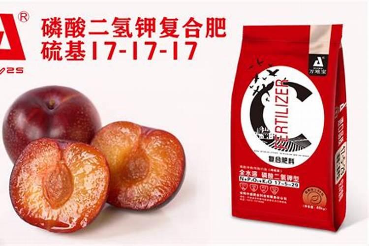 种植出高产的李子树要怎么施肥