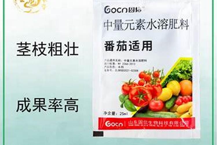 辣椒小叶病用什么药