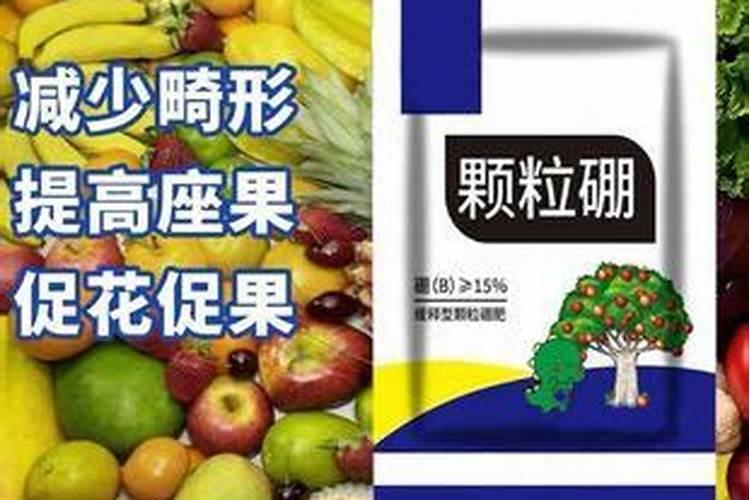 花生喷施硼肥的最佳时间 什么时候喷施最好