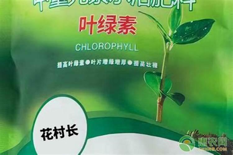 叶绿素控旺使用方法