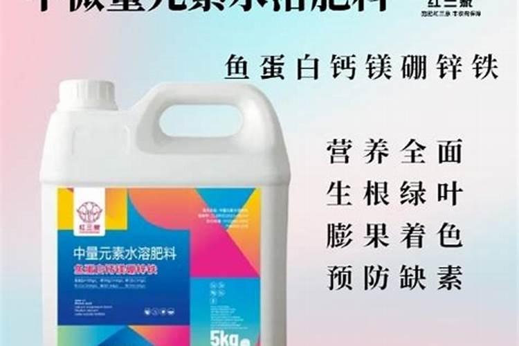 多肉施什么肥料最好