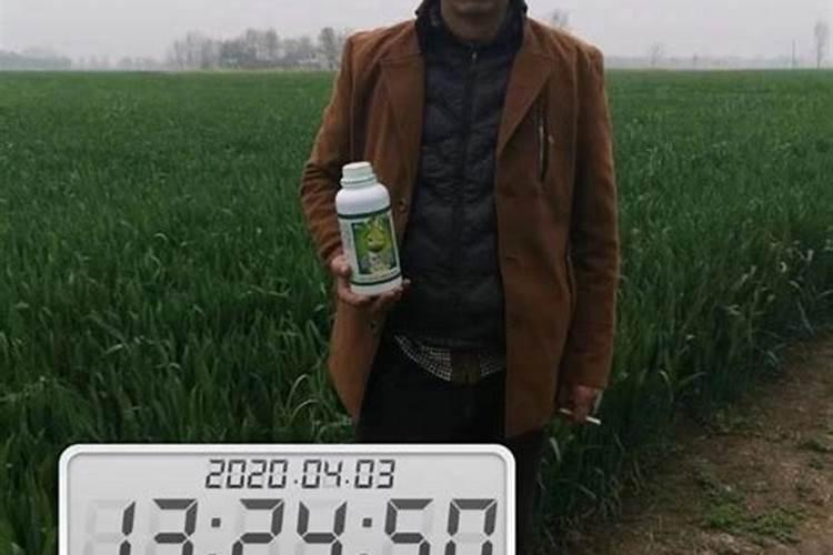 小麦一生需要多少肥料,分几次追施为好？