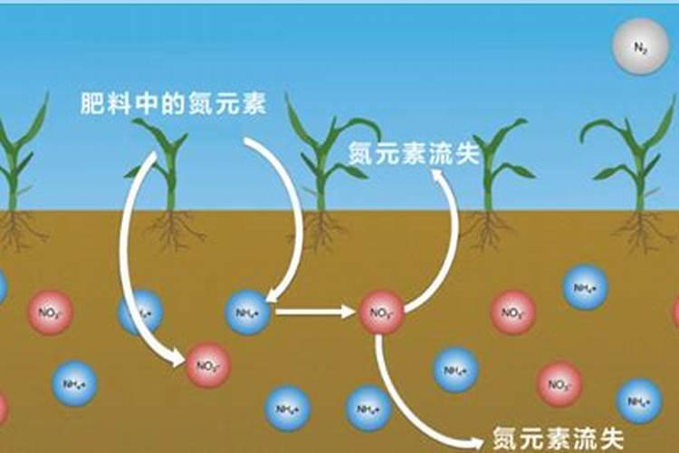 玉米喷施芸苔素能增产吗？有什么依据呢？