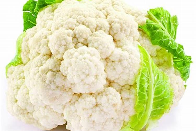 白花菜什么病,求大神解答