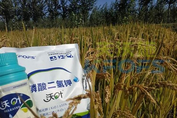 cu是什么肥料元素