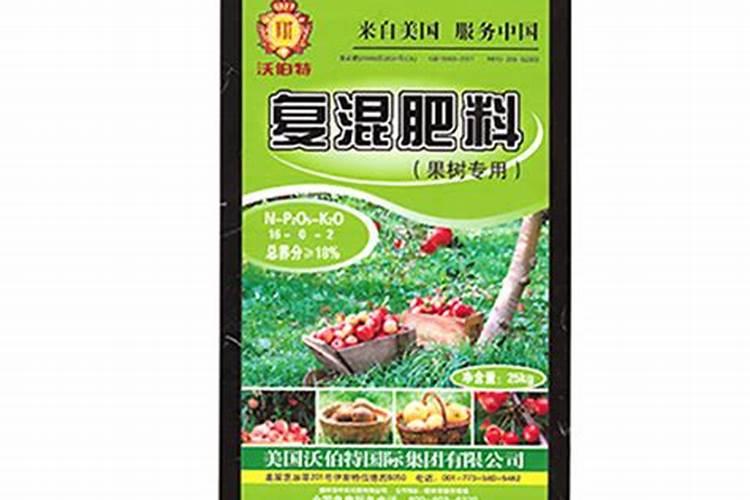 白菜种植技术与管理