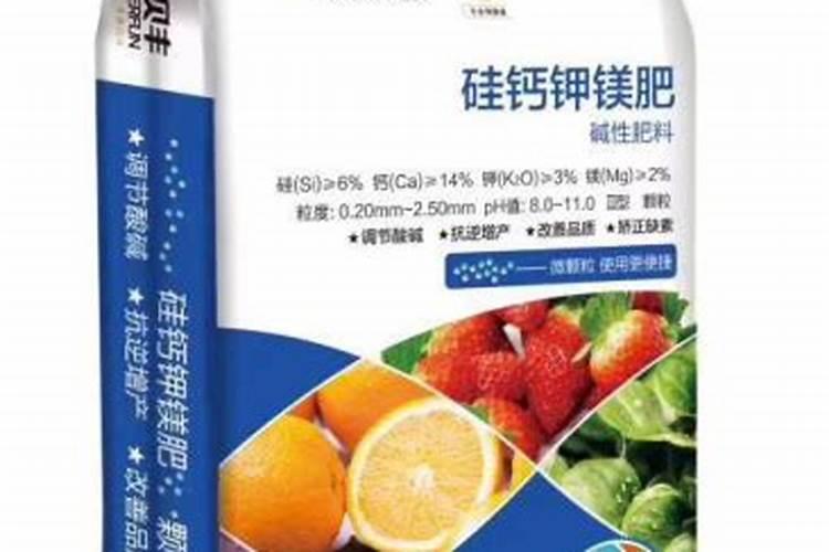 枣树怎样种？