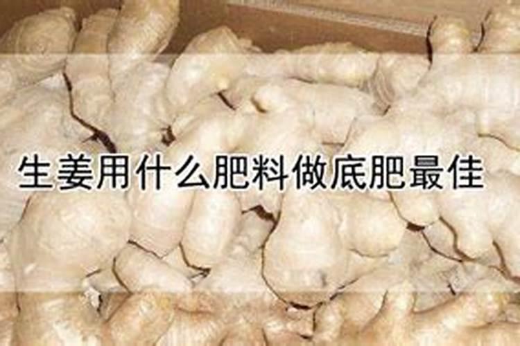 钾肥又叫果肥,苹果树施钾肥的最佳时期是何时