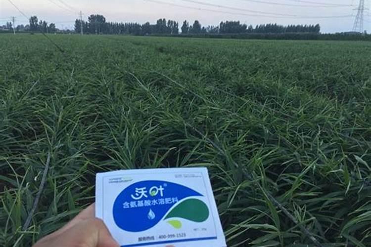 铜大师能和其他农药混合使用吗