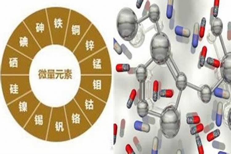 西瓜开花坐果期能浇水吗