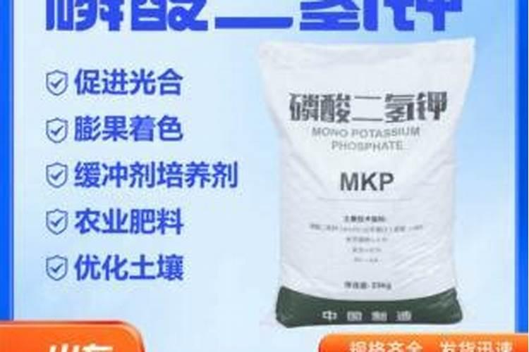 怎样确定板栗的施肥量