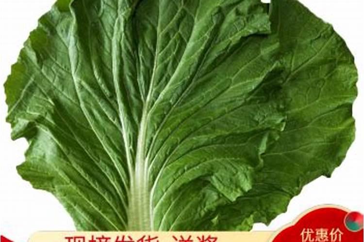 荔枝繁殖技术总结 荔枝怎么养殖好