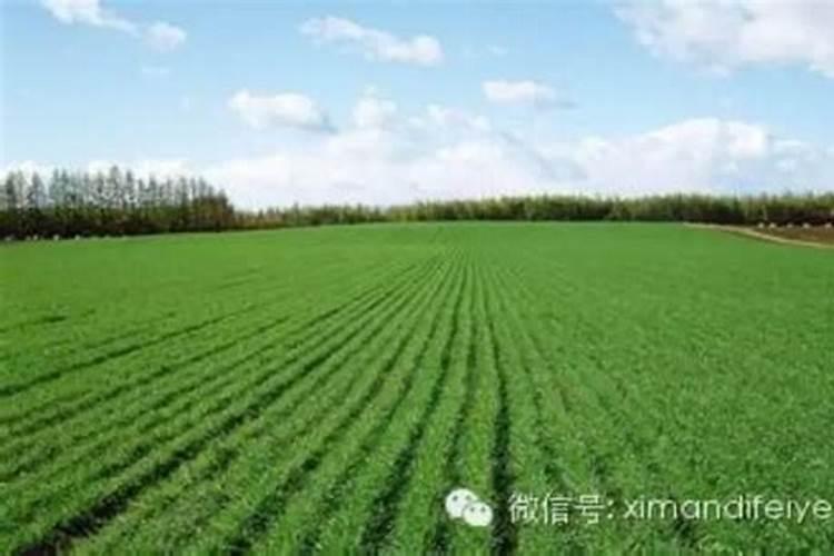 氮磷钾复合肥是什么肥料