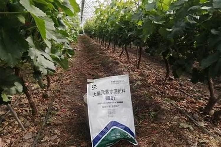 施肥后多久下雨不会影响肥效
