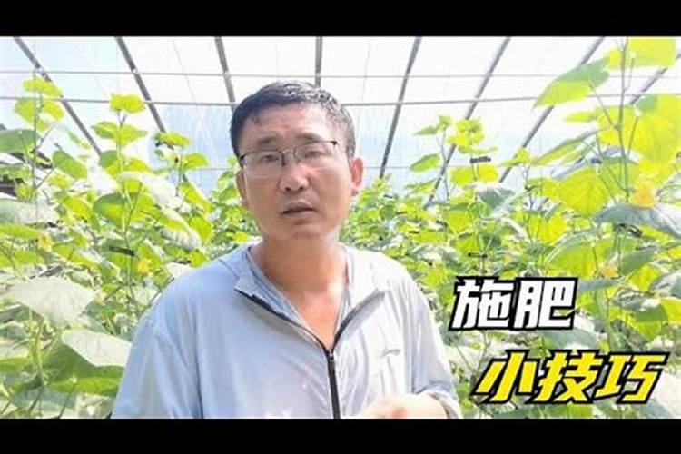 钙镁肥什么时候用最好
