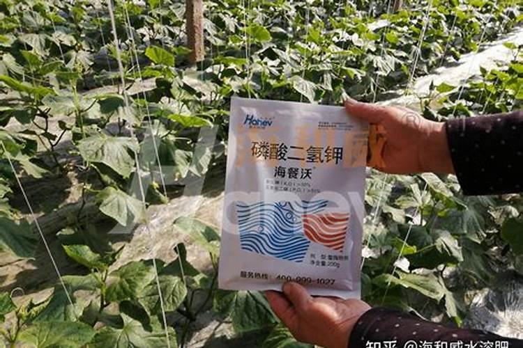 国内比较好水溶肥厂家有哪些