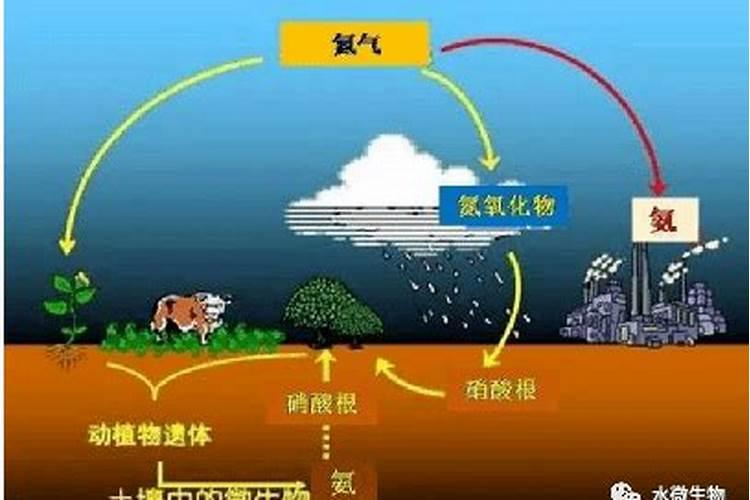 氮磷钾肥分别有什么作用
