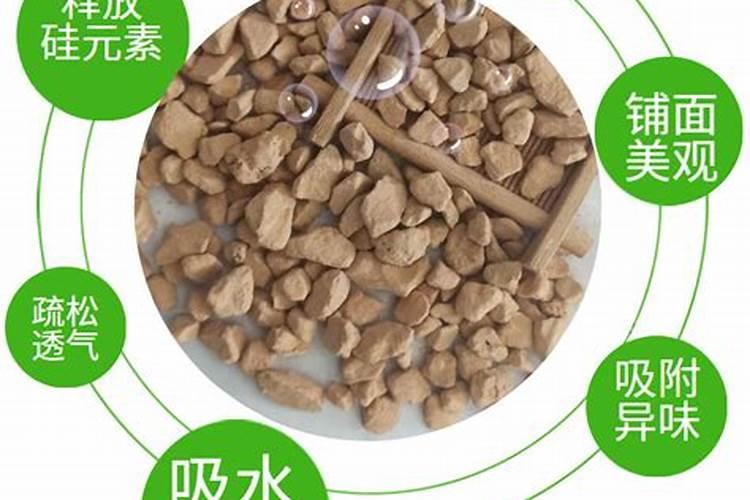 如何使用叶面肥,记牢哪几个时间点,你知道吗？