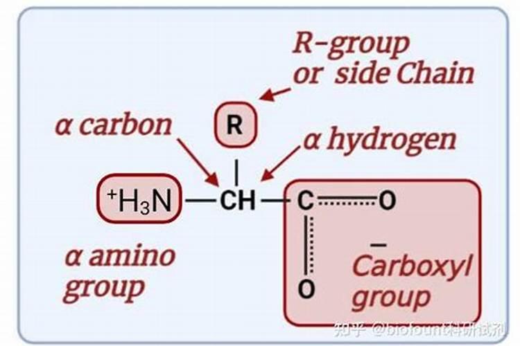 氨基酸肥料可以和磷肥一起用吗？