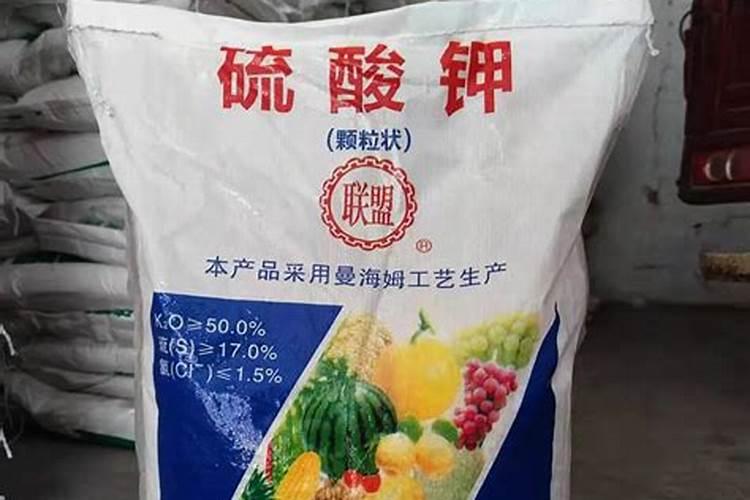 茶花孕蕾期正确的施肥方法