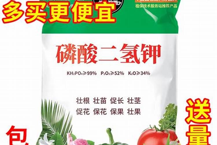 种樱桃树用什么肥料？