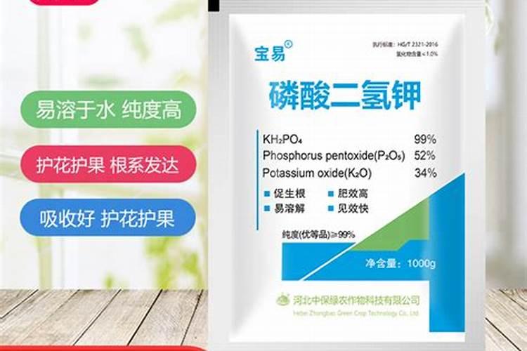 磷酸二氢钾可以浇绿萝吗
